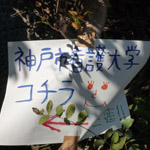 学園祭