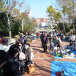 学園祭