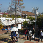 学園祭